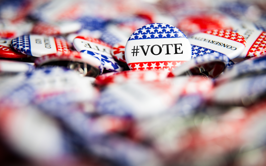 Navigating the 2024 Election Year: The Crucial Role of Digital Marketing Expertise